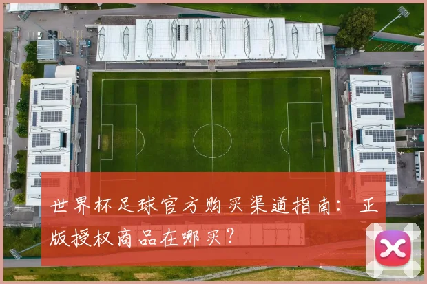 世界杯足球官方购买渠道指南：正版授权商品在哪买？