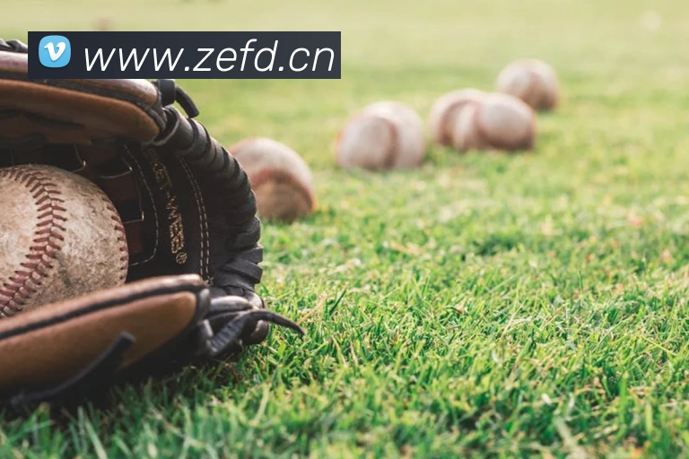 开云官方手机登录平台生态图