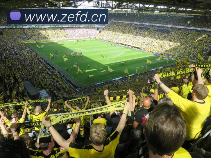 开云官方手机登录全站App